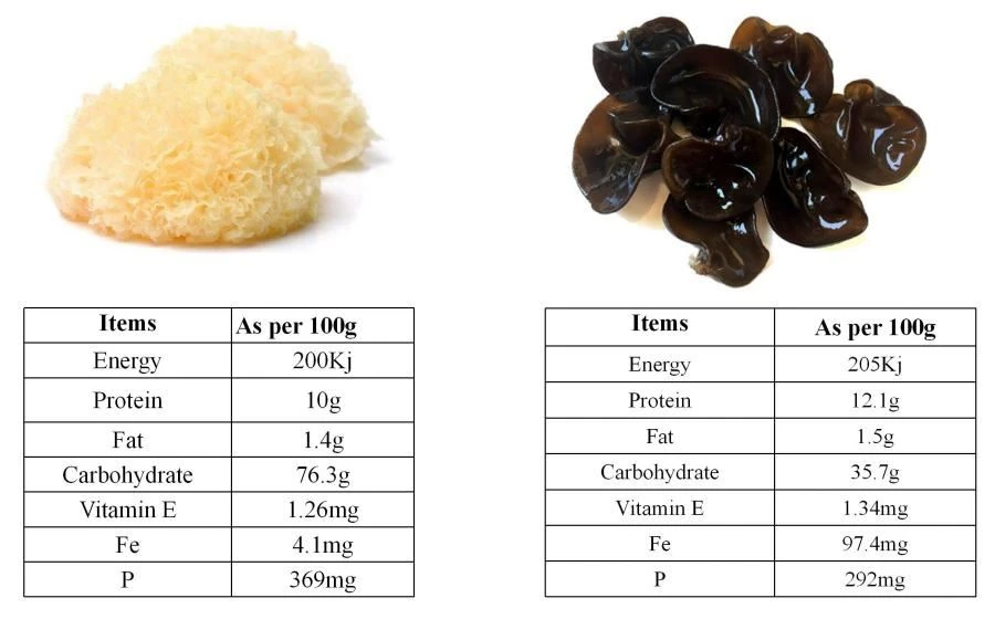 Nutrition Information of White Fungus and Black Fungus