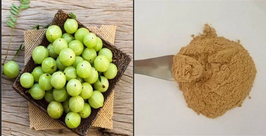 Amla Fruit Powder