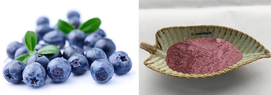 Acai Berry Powder Acai Berry Powder