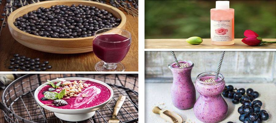Acai Berry Fruit Powder Acai Berry Fruit Powder