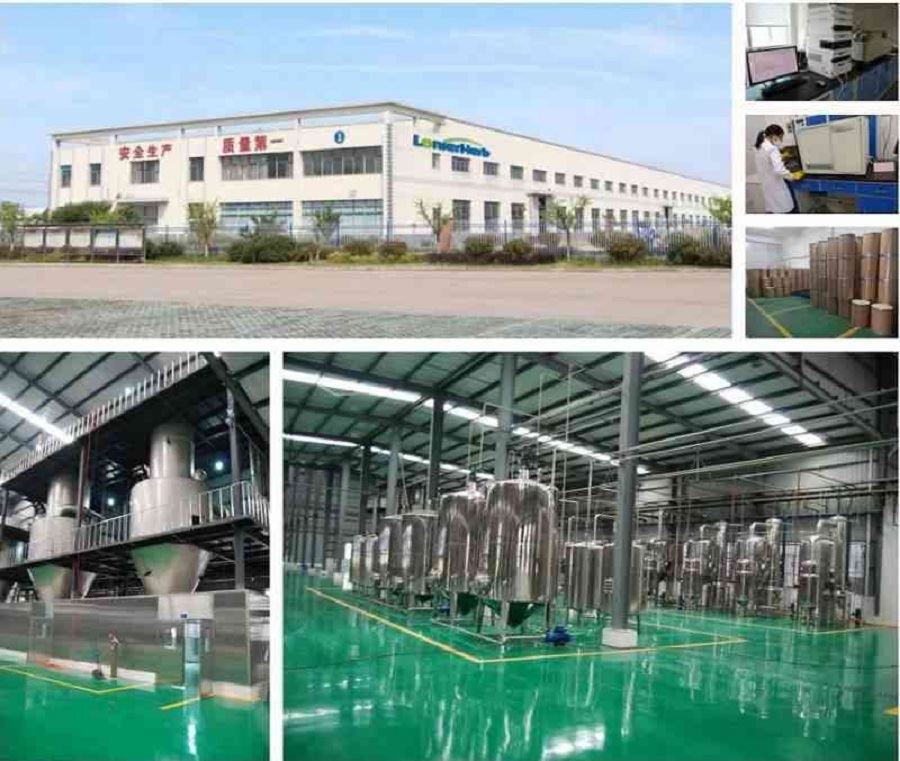 Holy Basil Extract Factory