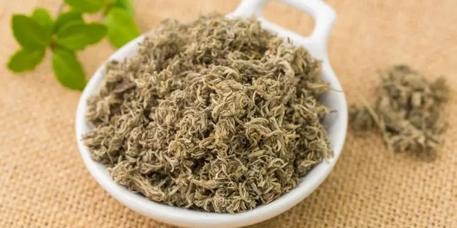 Capillary Wormwood Extract Capillary Wormwood Extract