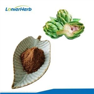 아티초크 추출물 분말