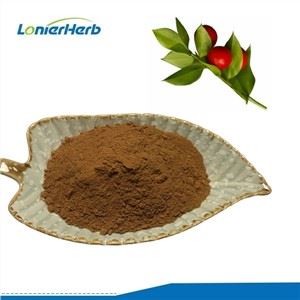 Butcher's Broom 추출물 분말