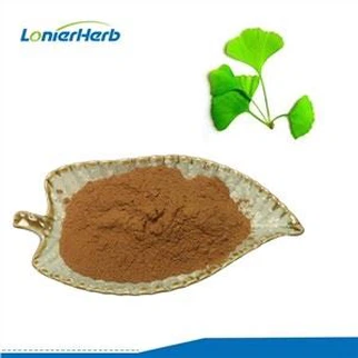 은행나무 추출물 분말