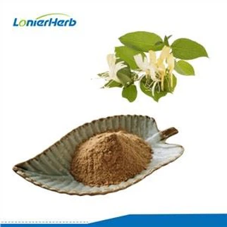 허니서클 꽃 추출물