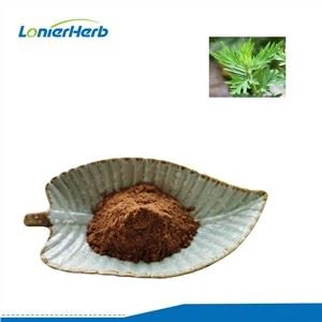 마더 워트 추출물 가루