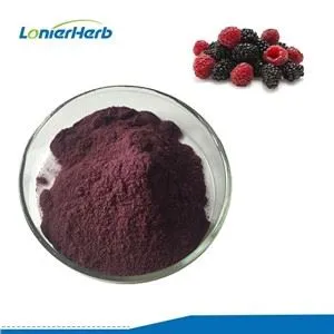 뽕나무 과일 추출물