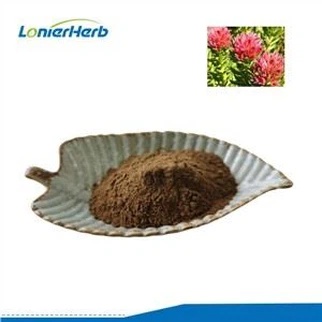 홍경천 뿌리 추출물