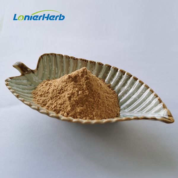 Peppermint Extract Powder