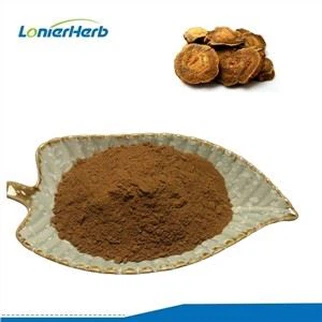 대황 뿌리 추출물 분말