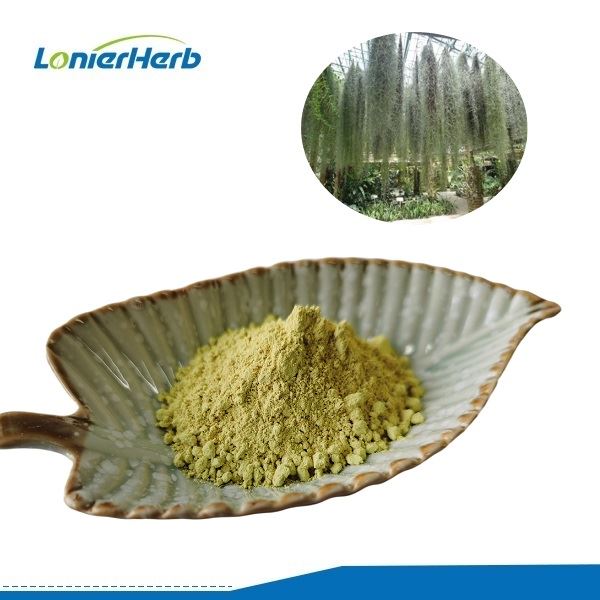 Usnea 산 분말