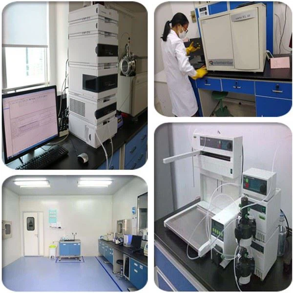 Pumpkin Seed Oil Powder