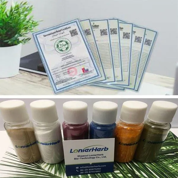 Pumpkin Seed Oil Powder