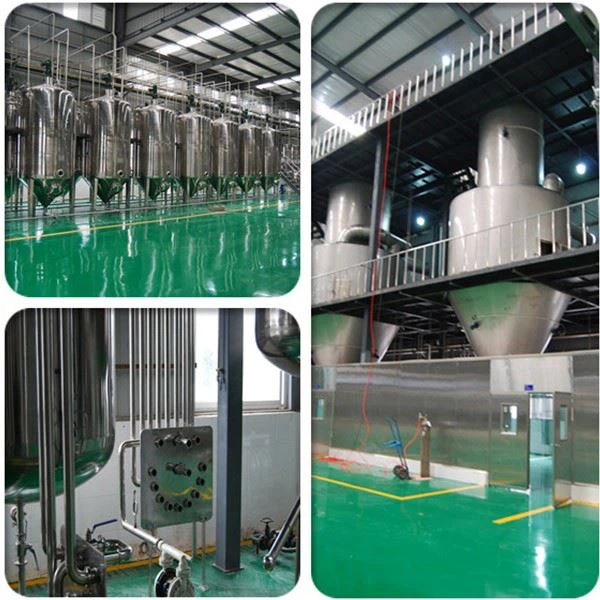 Pumpkin Seed Oil Powder