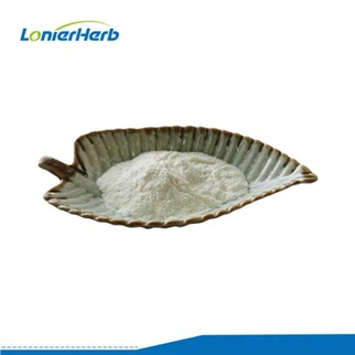 크레아틴 HCL 분말