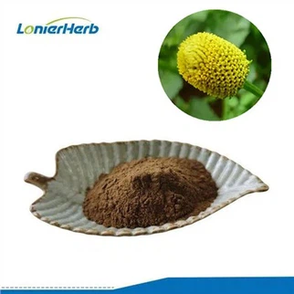 Spilanthes 추출물