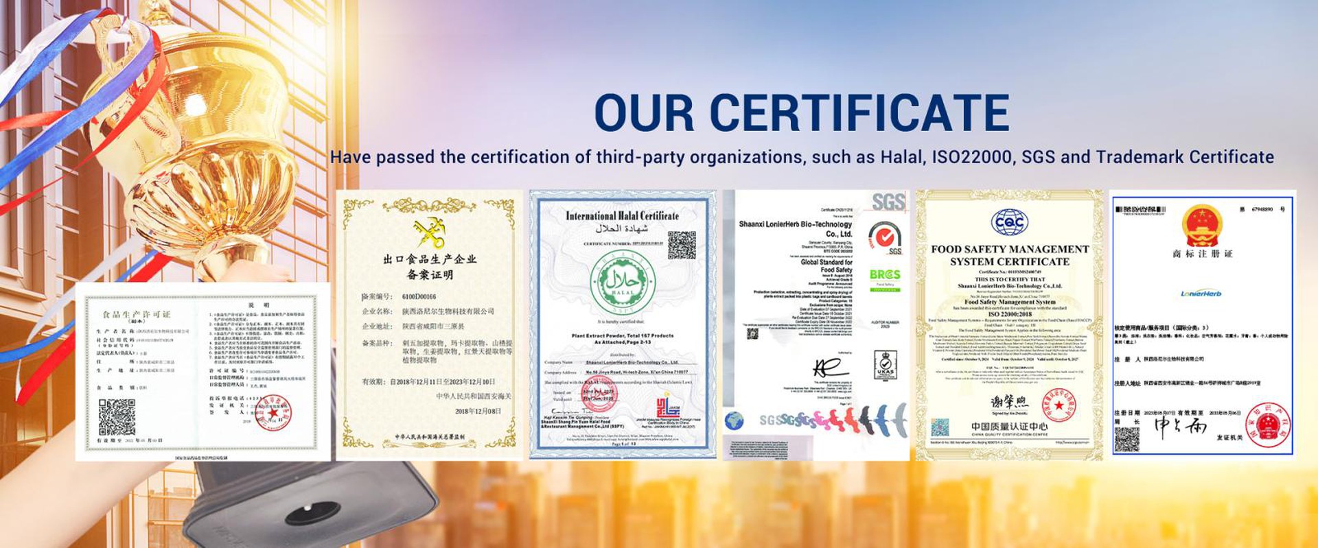 Lonierherb Certificate Lonierherb Certificate