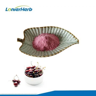 아세 롤라 체리 추출물 가루