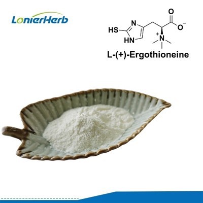 2026년 세계 10대 화장품 원료 제조업체